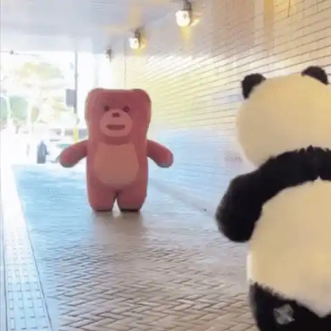 싸움 사랑
