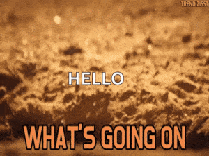 Animated GIF
