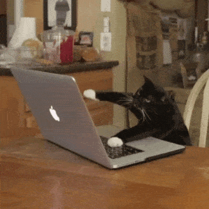Animated GIF