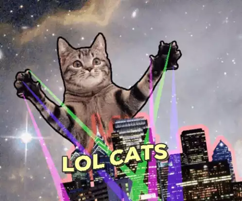 LOL Cats Meme - Among Us96920