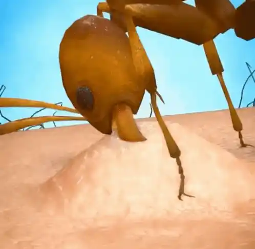 Ant Sting