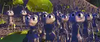 Ants