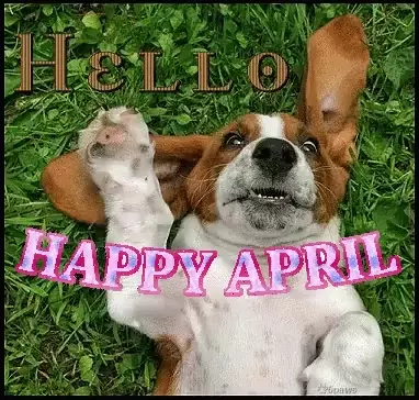 Cute Puppy Says Hello Happy April