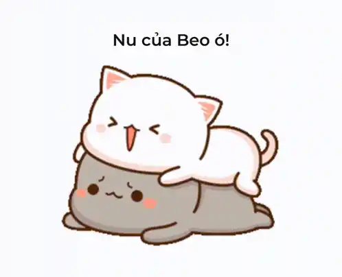 Beo Nu: Cute Cartoon Cats