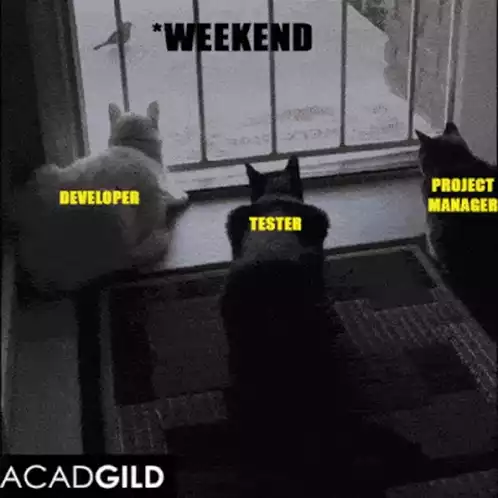 Weekend Bug: Developer, Tester, PM Cats