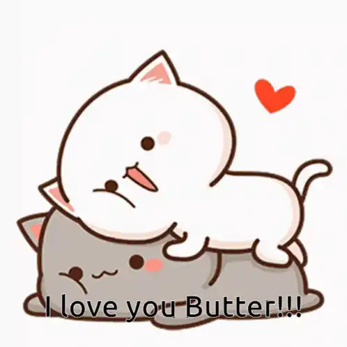 I Love You Butter! Cute Cats Hugging