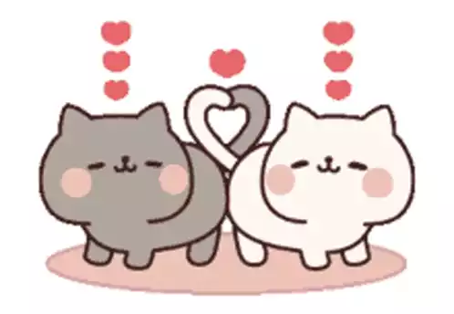 Cute Cats Form a Heart with Their Tails