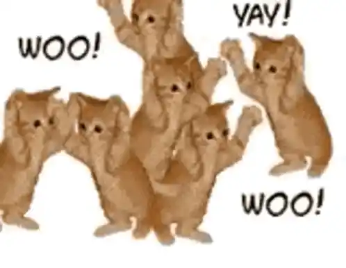 Yay Woohoo Cats Celebration
