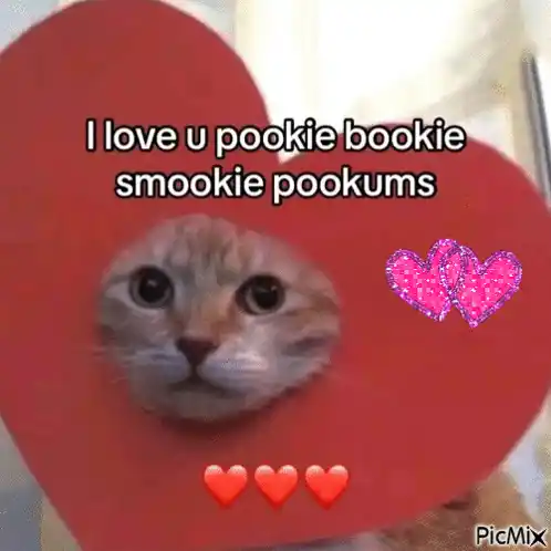 Cute Orange Cat: I Love You Pookie Bookie Smookie Pookums