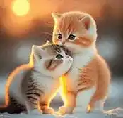 Cute White Cats Compilation