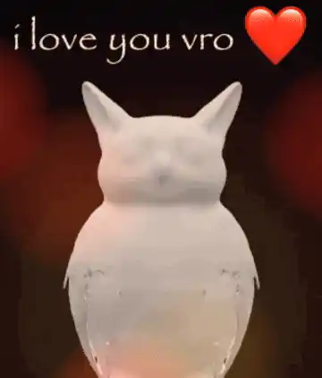 Cat Owl: I Love You Vro