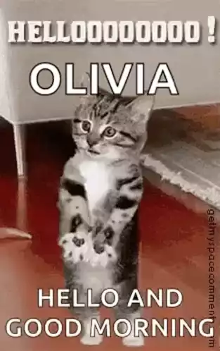 Hello Olivia! Good Morning Cat