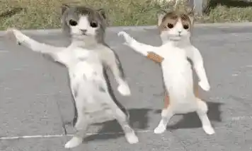 Cats Dancing Dancing 3d Cat