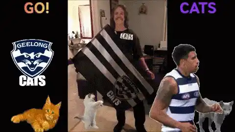 Geelong Cats Fan with Flag and Player