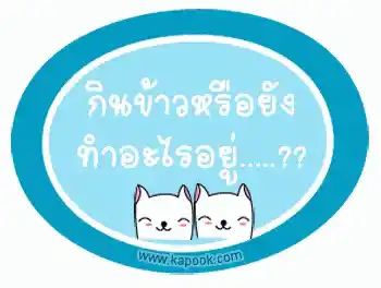 Happy Smiling Cats with Thai Greeting