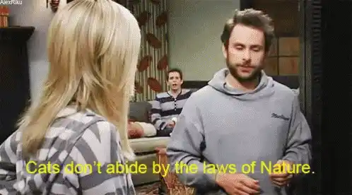 Charlie on Cats & Laws of Nature - It's Always Sunny