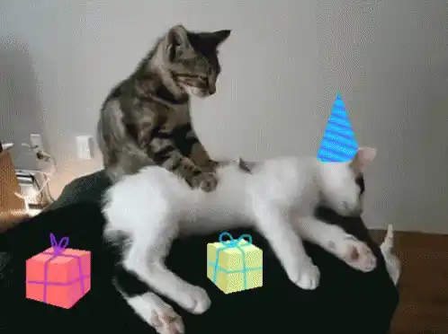 Cats Massage: Party Hat Fun
