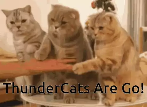 Cats React to ThunderCats Are Go!