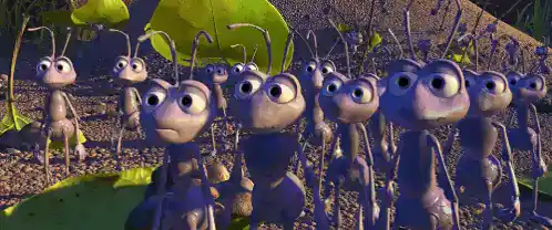 D9luxe: Close-up of Animated Ants