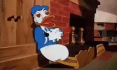 Donald Duck In Love