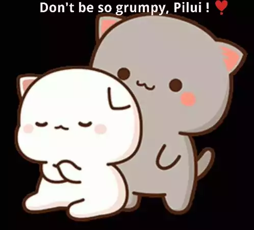 Don't Be So Grumpy, Pilui! Cute Cats Hugging