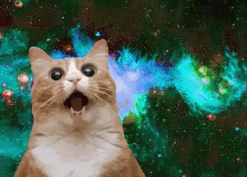 Excited Happy Cat in Space