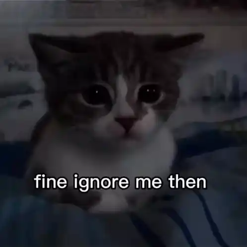 Cats Say 'Fine Ignore Me Then'