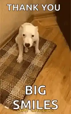 Funny Dog Says Cheese with Big Smiles