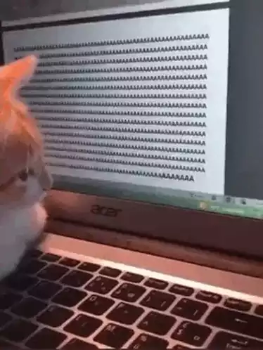 Funny Cat Types 'A's on Laptop