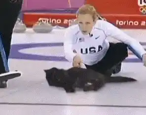 Funny Cat Interrupts Curling Match at Olympics