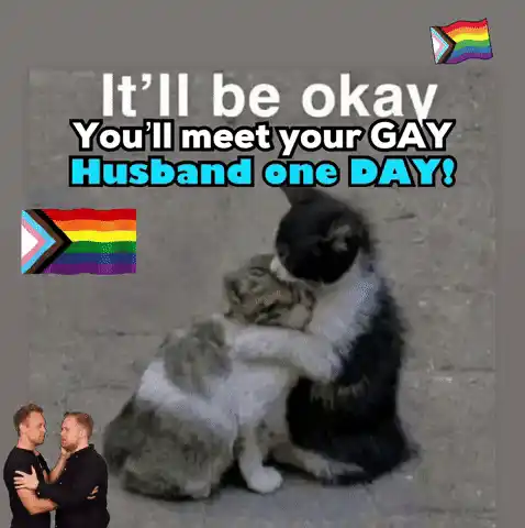 Gay Husband Meme: Cats Hugging