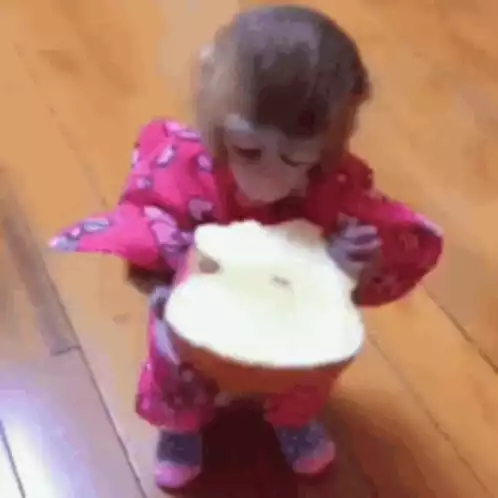 Funny Baby Monkey Eating Fruit