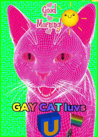 Gay Cat Luvs U: Good Morning Meme