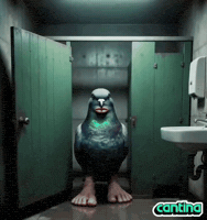 Happy Birthday Hello GIF by Cantina