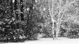 Black And White Love GIF