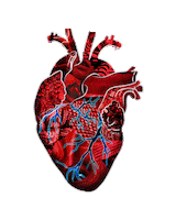 heart beat love Sticker by Tyler Resty