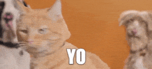Best Friends Hello GIF by Best Friends Animal Society