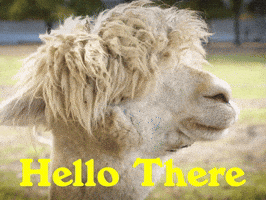 Good Morning Hello GIF by Sealed With A GIF