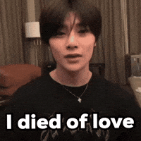 Stray Kids Love GIF