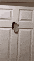 Its Me Hello GIF