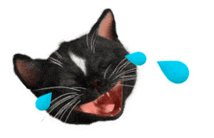 Cats Laughing Sticker by Felini Rocks