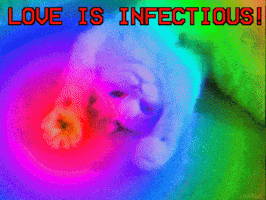 Good Morning Love GIF
