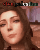 Final Fantasy Palestine GIF