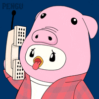 Whats Up Hello GIF by Pudgy Penguins