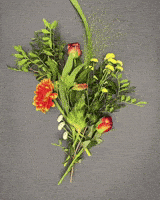 Heart Love GIF