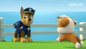 excited paw patrol GIF by Nick Jr