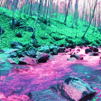 Pink Love GIF by dualvoidanima