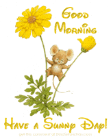 Rise And Shine Whatsapp Status GIF by good-morning