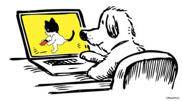 dog love GIF by The BarkPost