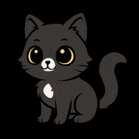 Cat Love GIF